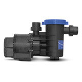 nfe