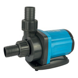 220v