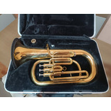 Bombardino Euphonium 3 Pistos Jahnke Com Case