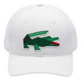 Crocodilo