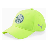 Palmeiras