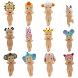 12pcs