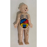 Boneco Corpo Humano Órgãos Internos 3d