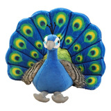 Pavão