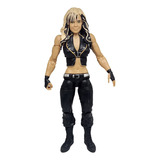 Boneco Wwe Kaitlyn Action Figure Lutador Diva Wrestling C10