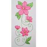 Flores