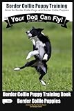 Border Collie Puppy Training By Your Dog Can Fly Not Really But Did You Know Puppy Training Begins From The Car Ride Home Border Collie Puppy Training