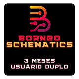 Borneo Schematic Double User Por 3 Meses