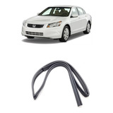 Borracha Canaleta Vidro Honda Accord 2008 A 2012 Original