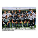 Botafogo Campeão Brasileiro 1995