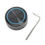 Amplificador