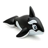 Bote Baleia Intex Preto