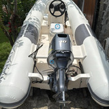 40hp