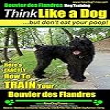 Bouvier Des Flandres Dog Training Think Like A Dog But Don T Eat Your Poop Here S EXACTLY How To Train Your Bouvier Des Flandres English Edition 