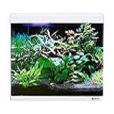 Boyu Aquário Curvo Ec 600 66L Branco 127v