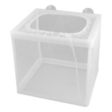 Boyu Criadeira Rede Nb 3201 simples 