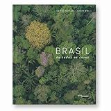 Brasil De Todas As Cores