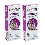 Bravecto Antipulgas Transdermal Para Gatos De 6 25 A 12 5kg 2 Unidades