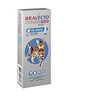 Bravecto Plus Antipulgas E Carrapatos Gatos