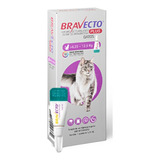 Bravecto Plus Gatos 6 25 A