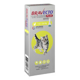 Bravecto Plus Gatos Antipulgas 112 5mg De 1 2 A 2 8kg Pipeta