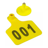 1000