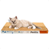 Brinquedo Arranhador Papelão P Gatos Ondulado Antiestresse