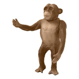 Brinquedo Chimpanze Macaco Animais