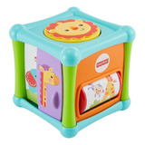 Brinquedo Cubo Animaizinhos Divertidos Fisher price Colorido