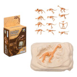 Brinquedo Dinossauro Dino Fóssil Escavação Arqueologia