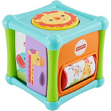 Brinquedo Educativo 6 Meses Fisher Price Cubo De Atividades