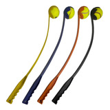 Tenis