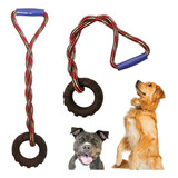 Cães