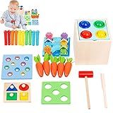 Brinquedo Montessori 5 Em 1 Madeira Montessori Brinquedo Jogo Combinar Para Crianças Maiores 1 Ano Caixa Permanência Objetos Caixa Moedas Colheita Cenoura Minhoca Organizador Formas Presentes Aniversário Suenos