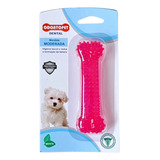 Odontopet