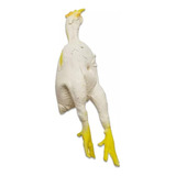Brinquedo Para Cães E Gatos Frango Em Látex Atóxico Latoy