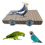 Brinquedo Para Calopsita Papagaio plataforma De Descanso 