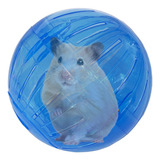 Brinquedo Para Hamster Roedores Bola Acrílica Savana 11 5cm