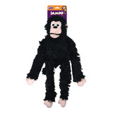 Jambo