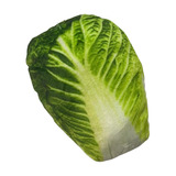 Apito