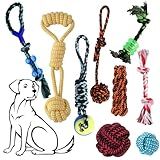 Brinquedo Pet Combo 5 Peças Resistente Antiestresse Alivia Ansiedade De Cachorros Cores Sortidas Mordedor Corda Interativo