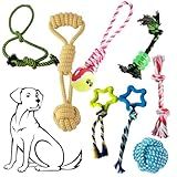 Brinquedo Pet Combo 5 Peças Resistente Antiestresse Alivia Ansiedade De Cachorros Cores Sortidas Mordedor Corda Interativo
