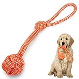 Brinquedo Pet Corda Mordedor Resistente Interativo Para Cachorro Cães Forte Laranja 37cm 