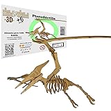 Brinquedo Quebra Cabeça 3d Dinossauro Pterodáctilo Mdf