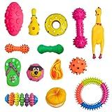 Brinquedos Pet Kit Com 5 Unidades Mordedores Para Cachorros Filhotes Pequeno Porte