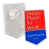 Broche Lapela Pin Gptw Great Place To Work 100 Und