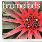 Bromeliads Bromelias Da Mata