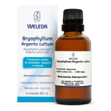 50ml