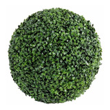 Plantas