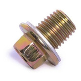 Bujao Cônico Carter Espanado Parafuso Flangeado 12mm Motos